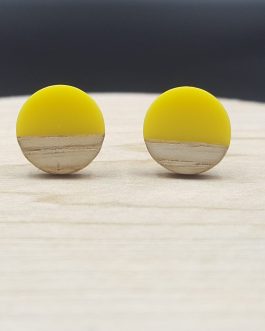 Kolczyki KÓŁKA ŻÓŁTE