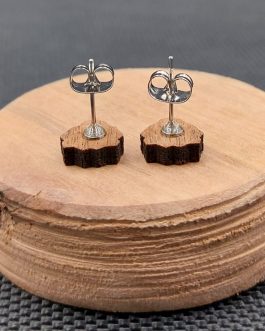 Kolczyki drewniane LWY