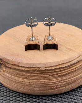 Kolczyki drewniane NOSOROŻCE